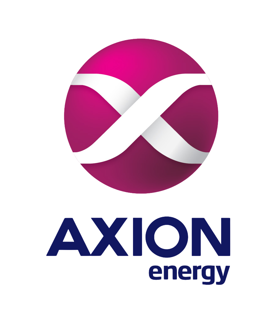 Axion